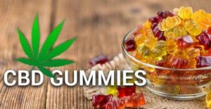 Fruit Flavored CBD Gummie Products