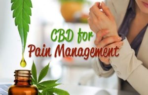 CTFO CBD Oil Products to ease pain and discomforts.